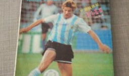 91直播足球兔兔,足球盛宴中的趣味互动体验